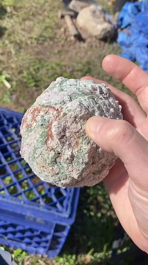 Southern California Geode Split. Love the chocolate druzy. ✨⛏ . . . #geode #california #druzyquartz #mining #minerals #selfcollected #rockhounding #rockhounds | ONI | Facebook