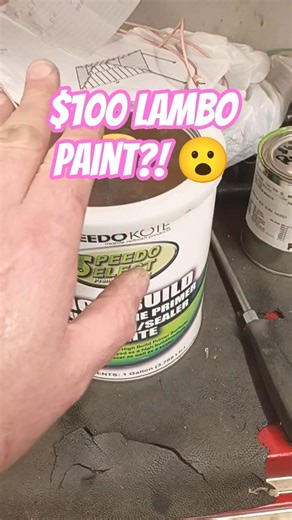 Lambo Paint Isn’t Cheap… But $100 Did THIS?!