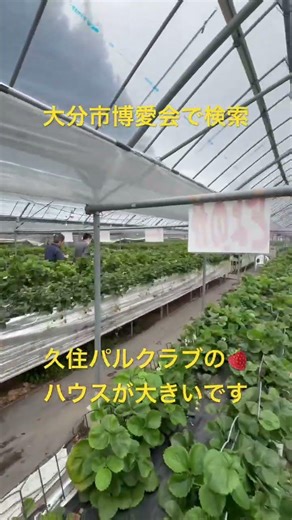 大分市 学生向け 介護職 女性でも安心な理由 #shorts
