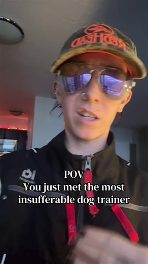 #dogtrainer #dogtraining #balancedtrainer #dog #dogs | dogtraining