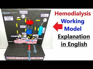 hemodialysis working model using syringes explanation in english - biology project | craftpiller