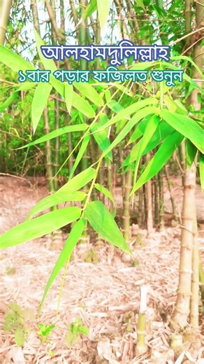 ১বার আলহামদুলিল্লাহ পড়ার ফজিলত শুনুন। alhamdulillah porar fojilot, #subscribers #alhamdulillah #1m