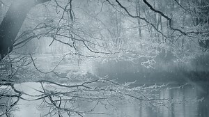 Download Winter Scenery Animation Background  for free