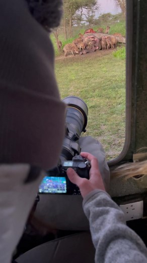 Watching 20 hyenas eating an elephant.