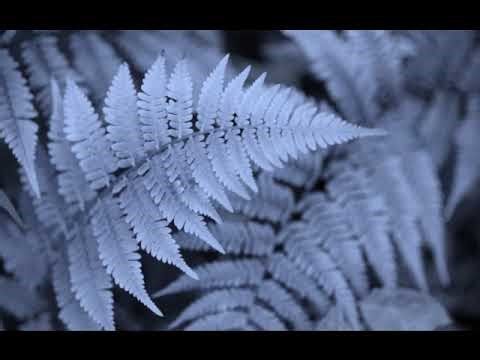 Windows Live Movie Maker 2009 Beta 1 (14.0.8051) Test