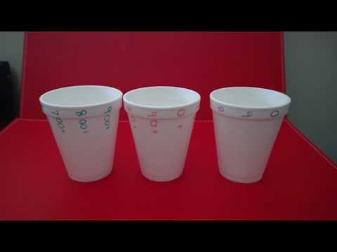 Place Value Cups