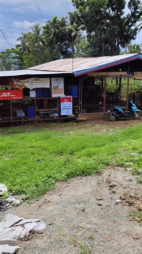 3.4K views · 31 reactions | FARROWING PEN | WELD PH piggery equipment | Facebook