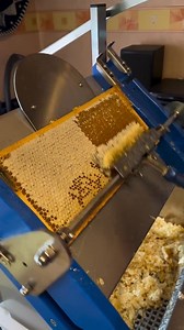 Commercial honey harvesting 🐝💖 . . . . . #🐝 #📸 #beekeeping #bees #honey #bee #beekeeper #savethebees #canadianapiary #canadianbeekeeper #honeybee #apiary #nature #apiculture #beesofinstagram #beehive #hive #beelife #beekeepers #pollen #newhobby #farmer #urbanbeekeeping #urbanbeekeeper #womenbeekeepers #womeninbeekeeping | Canadian Apiary