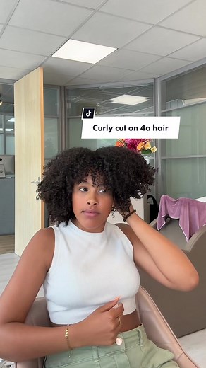 Curly Cut on 4a Hair: Tips and Techniques for Perfect Curls