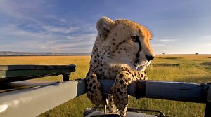 Travel and Events — Jonathan & Angela Scott