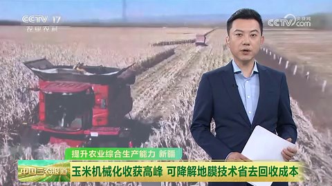 [中国三农报道]提升农业综合生产能力 新疆 玉米机械化收获高峰 可降解地膜技术省去回收成本