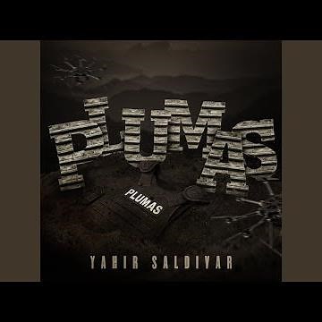 Plumas