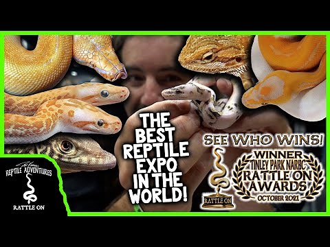 NARBC TINELY PARK OCTOBER 2021! (the best reptile expo in the world!)