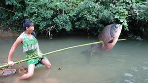 728K views · 5.3K reactions | Compétences de survie - Les compétences primitives attrapent de gros poissons au ruisseau - Cuisiner de gros poissons pour manger délicieux | Découvrir TV | Facebook