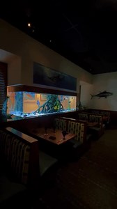 Weekend recap 🍹 St. Pete Beach just dropped a pin — your move 🤝🏻 Book now! www.tradewindsresort.com/offers Shots captured 10/24/24 | TradeWinds Resort