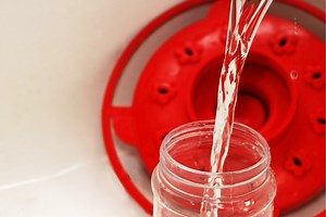 How To Clean Hummingbird Feeders With Hydrogen Peroxide: 5 Easy Steps – Hummingbirds Info