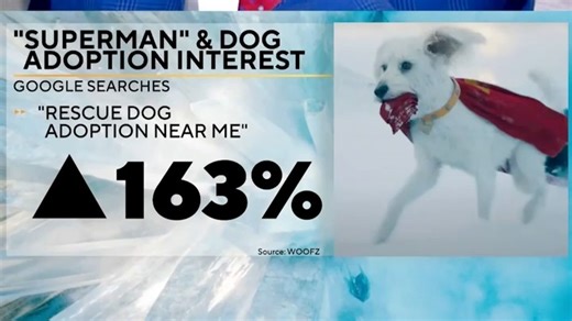 The new "Superman" movie is not just bringing fans to theaters — it’s also getting them to animal shelters. Krypto the Superdog seems to have sparked an interest in adoptions in the U.S. https://cbsn.ws/4o28ZjB | CBS Mornings