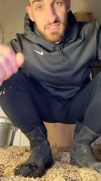 Impacted Crop Update | Crop Is Continuing To Going Down 🐔✨