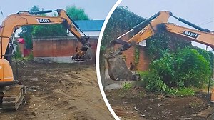 Construction worker gives eager dog joyride in excavator bucket