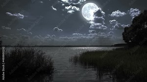 Full moon night landscape with forest lake.