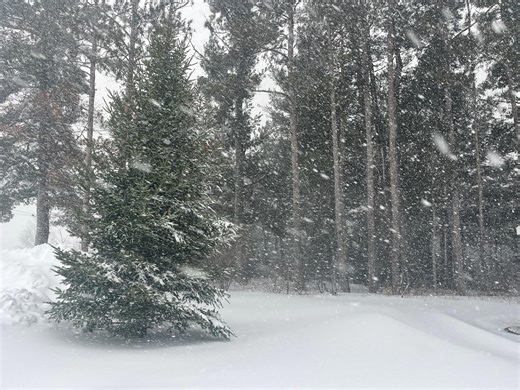 Will snow impact garbage pickup and other services in WI Rapids area?