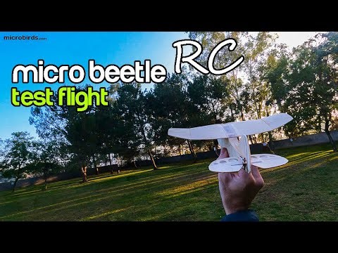 RC Micro Beetle Prototype 2 Test Flight 20 Gram Flying Weight