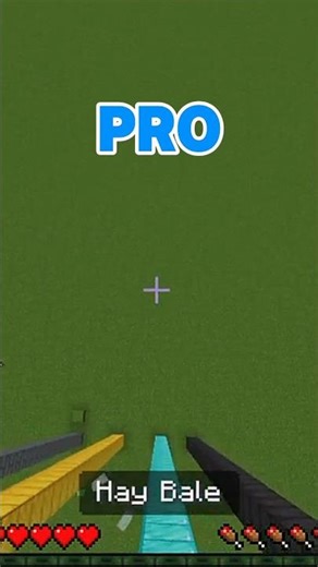 Minecraft noob vs beginner vs pro vs hacker #minecraft