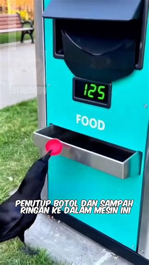 Burung ini tukar sampah jadi makanan