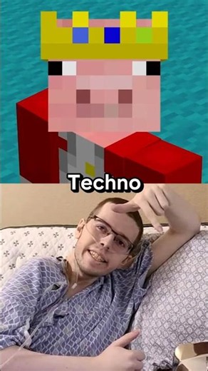 Why didn't Technoblade do a Face Reveal?