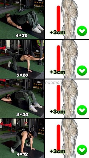 𝐑𝐢𝐭𝐢𝐤 𝐇𝐚𝐫𝐛𝐨𝐥𝐚 𝐅𝐢𝐭𝐧𝐞𝐬𝐬 🇮🇳 on Instagram: "Fix Your Sway Back: 4 Essential Exercises for Better Posture and Stronger Core 🧘‍♂️ ✅ SAVE THIS FOR LATER 🔥! ✅ SAVE/SHARE to add to your routine 🔔Turn on post notification ✅ #PostureCorrection #SwayBack #BackPain #StrengthTraining #GymVideos #Workoutideas #WorkoutVideos #Fitness #Endomondo"