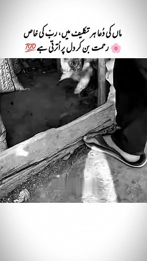 677K views · 50K reactions | এটাই মায়ের দোয়া爐...... #মা #মমতা #মায়া #ভালোবাসা | সিয়াম সালামী | Facebook