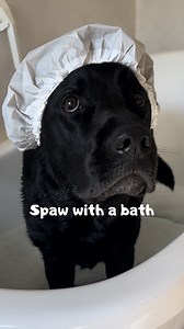 261K views · 8.3K reactions | SOUND ON  A little throwback spawday...