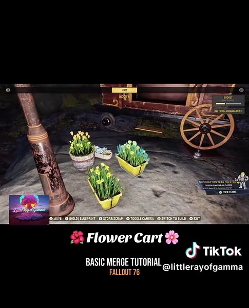 Replying to @Gaspar I hope this helps🫶🏼💕 and thank you @the281k for all the tips and tricks! 🙏🏼🙌🏼❤️ #fallout76 #fo76 #fallout76merge #tipsandtricks #falloutglitch #falloutcampbuilding #rpg #fyp #helvetia #flowercart #merging #wastelandwanderer #fallout #workshopmode #gametutorial #fallouttok #falloutbuilds #nukacola