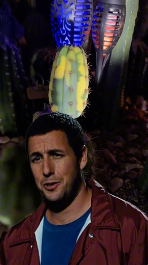 Honestly… shirts have been taken off for less! #cactusjeff #shirts #sandler #cactus #abel