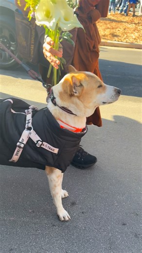 iAmDaniJay on Instagram: "Experiencing @walkforpeace.usa today was amazing. Day 65 of their journey and the amount of ppl that showed up was massive. Heading into the new year, their presence & peace was definitely felt 🙏🏽 Check their bio for the link to see where they will be in Ga for the next few days"