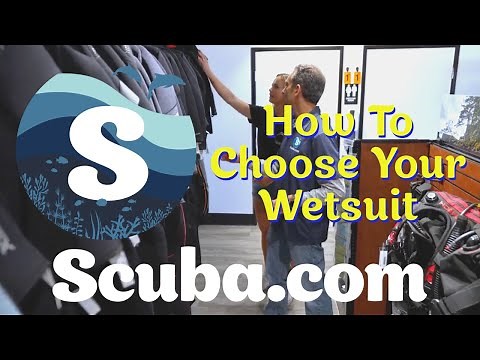 Choosing The Best Wetsuit For Your Dive
