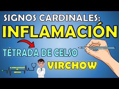 CARDINAL SIGNS OF INFLAMMATION [ Exam question #1 ] - The Eternal Medical Student 📝