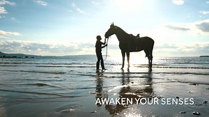 19K views · 56 reactions | Who's ready to enjoy endless adventures this Summer? Fuel your curiosity, awaken your senses and experience the best of Ireland with us! https://www.claytonhotels.com/ | Clayton Hotels | Facebook