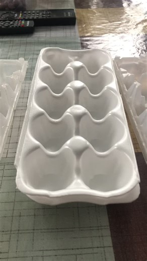 Exploring an Empty Plastic Egg Carton