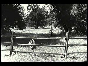 LASSIE opening credits with sponsor