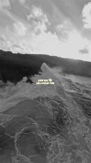 wellerman - nathan evans | lyrics | aesthetic | whatsapp whatsapp | English songs | slowed | sped up