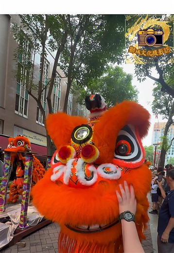 Traditional Lion Dance Performance for CNY Celebration