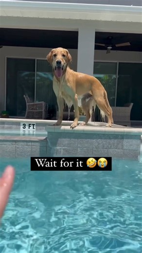 Stop Using Boring Tools (Try These) #AI #Productivity