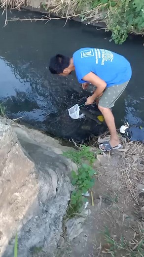 Tubifex Worms: Guide to Catching and Using Them