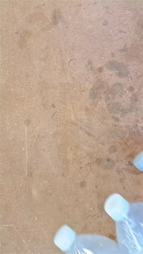 On my page, you can find many cool and creative tricks I'm HANDYMAN, ..._059 | Molly Chambers