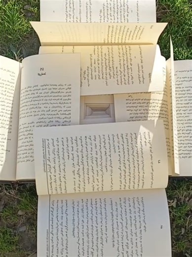 Cute Cat Joins Book Stacking Trend