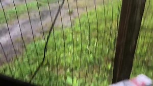 Watch Amazon’s Delivery - TONS of calls and still they don’t fix the problem on Amazon Live