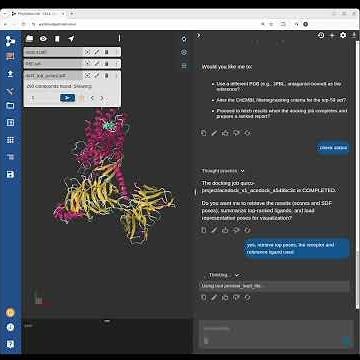 Molecular Docking with PlayMolecule AI
