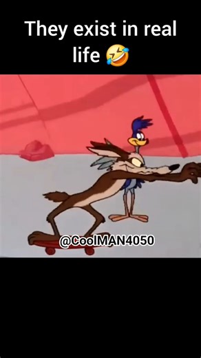 Funny Jokes Coyote and the Road Runner cartoon #funny #cartoon #jokes #laugh #fun #runner #vibes