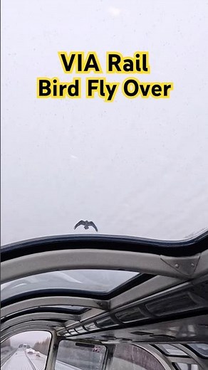 The CANADIAN Train Trip Vancouver to Toronto - Birds Eye View